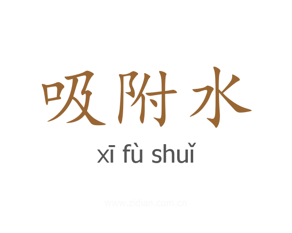 吸附水