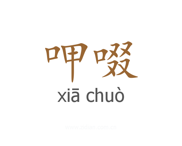 呷啜