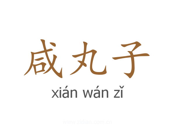 咸丸子