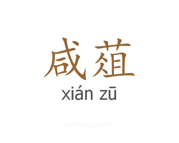 咸葅