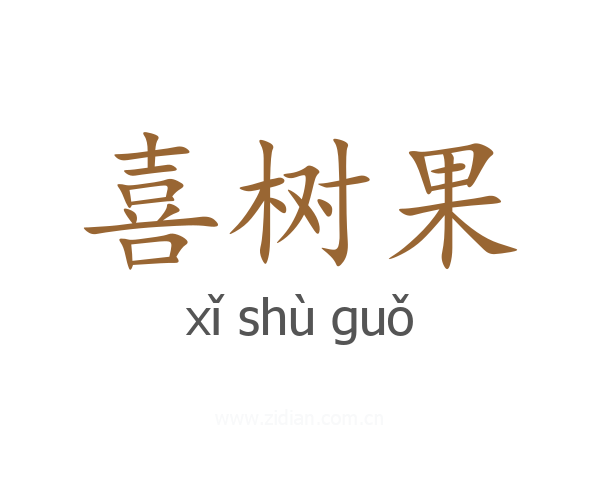 喜树果