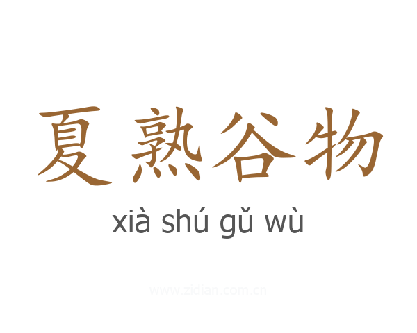 夏熟谷物