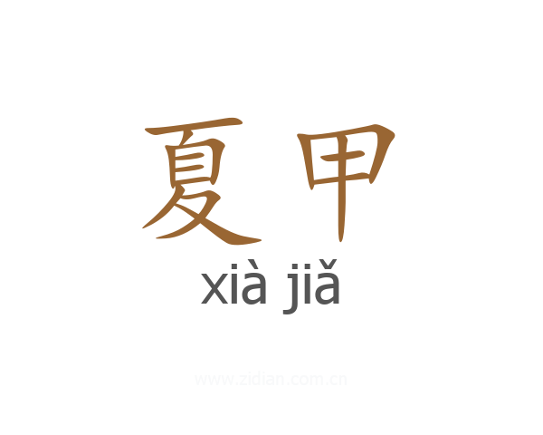 夏甲