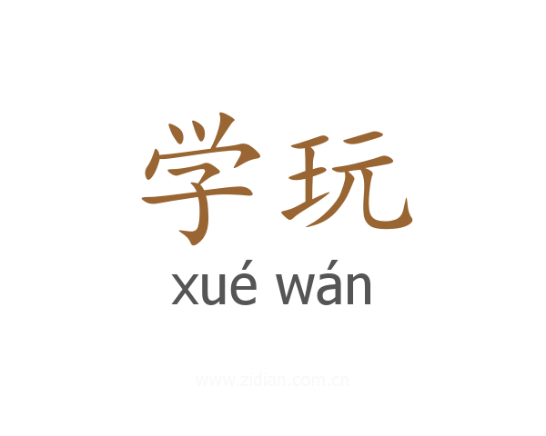 学玩