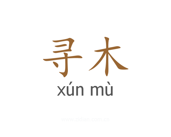 寻木