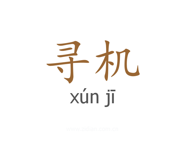 寻机
