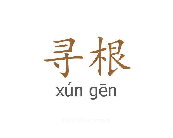 寻根