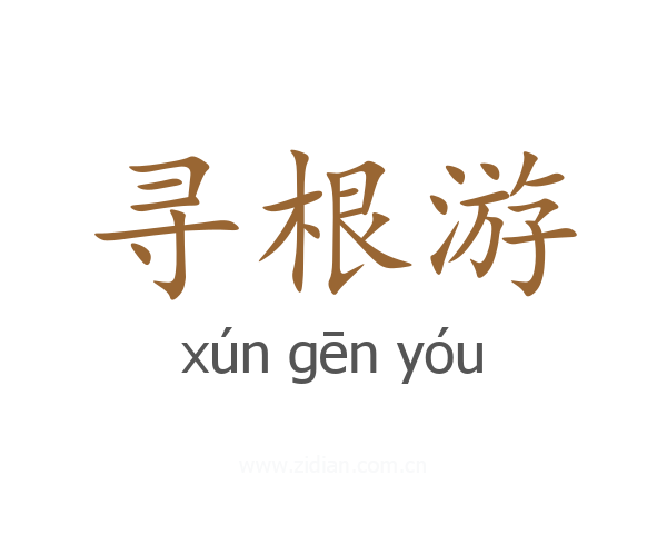 寻根游