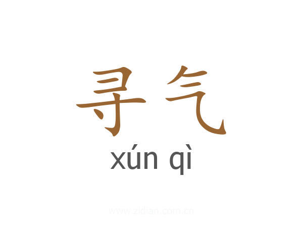 寻气