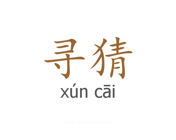 寻猜