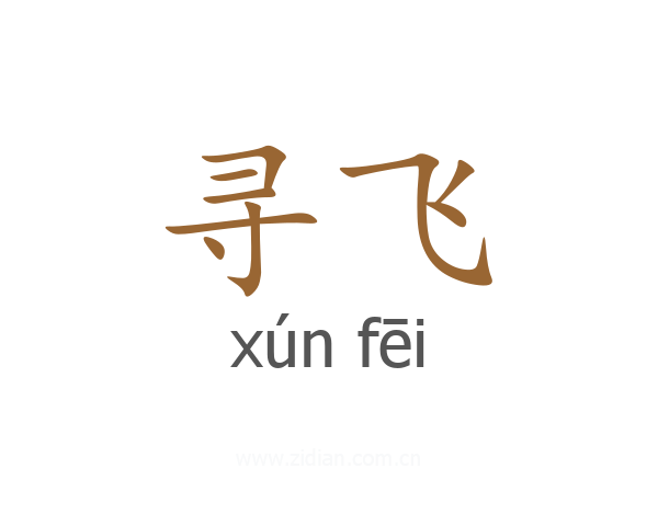 寻飞