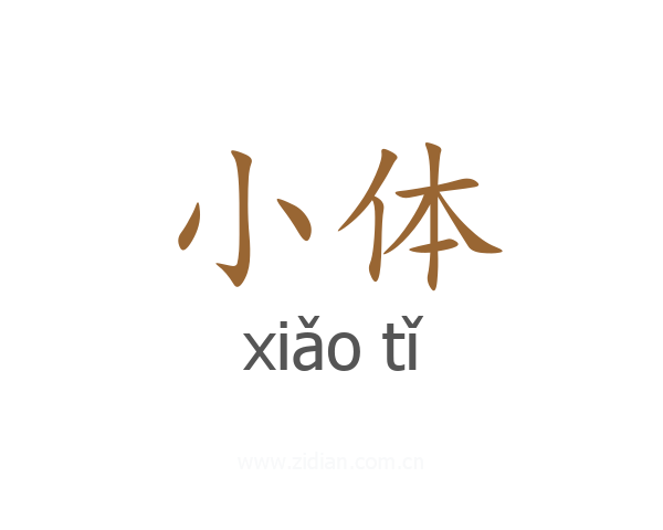 小体