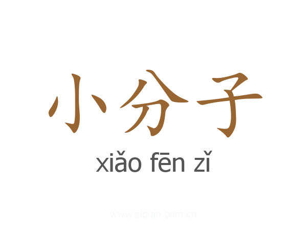 小分子