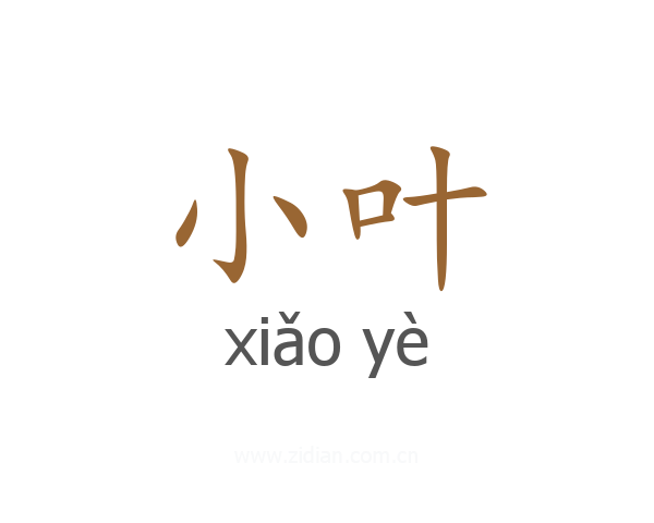 小叶