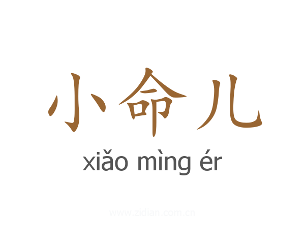 小命儿