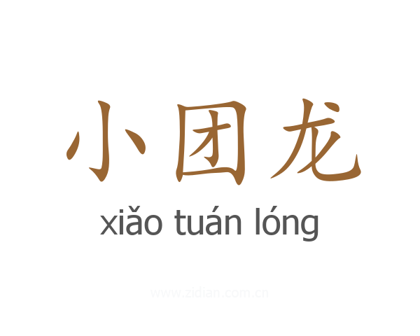 小团龙