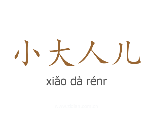 小大人儿