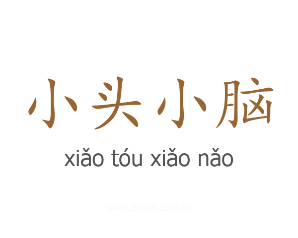 小头小脑
