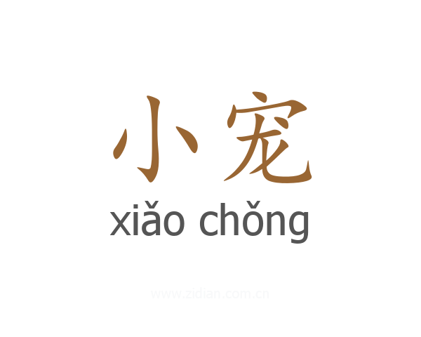小宠