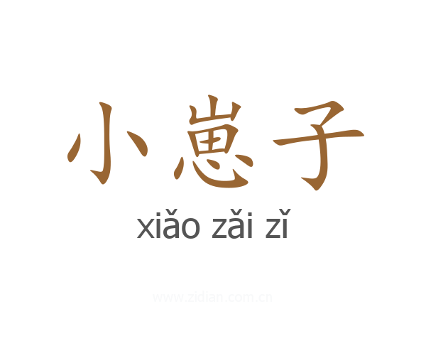 小崽子