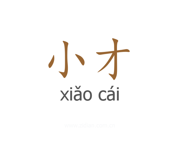 小才