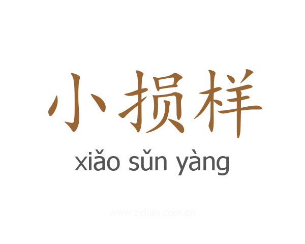小损样