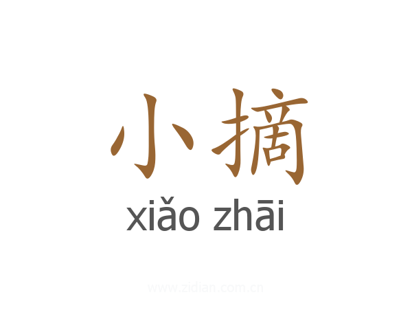 小摘