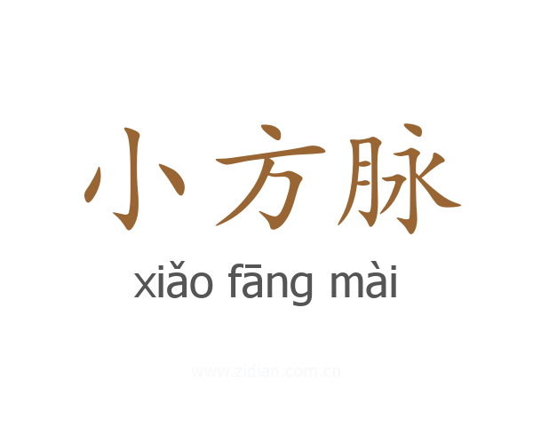 小方脉