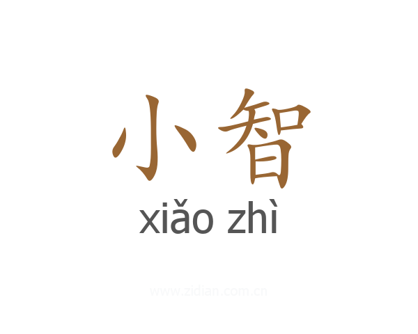 小智