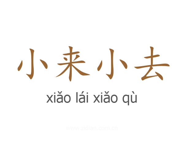 小来小去