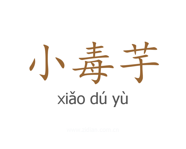 小毒芋