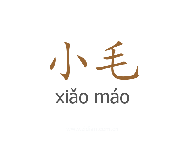 小毛