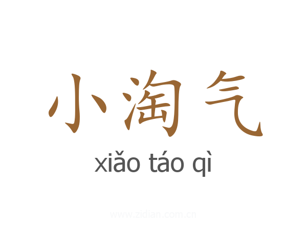 小淘气
