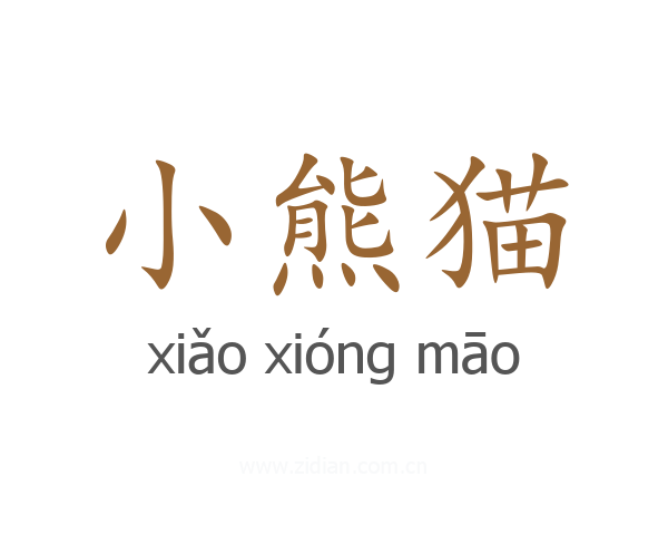 小熊猫