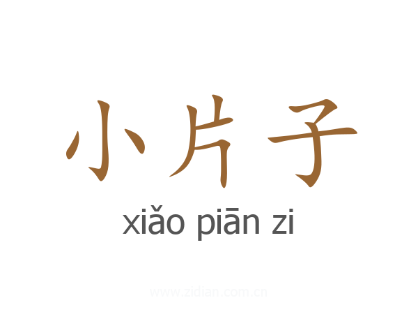 小片子
