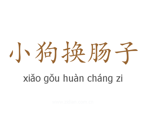 小狗换肠子