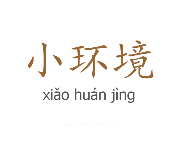 小环境
