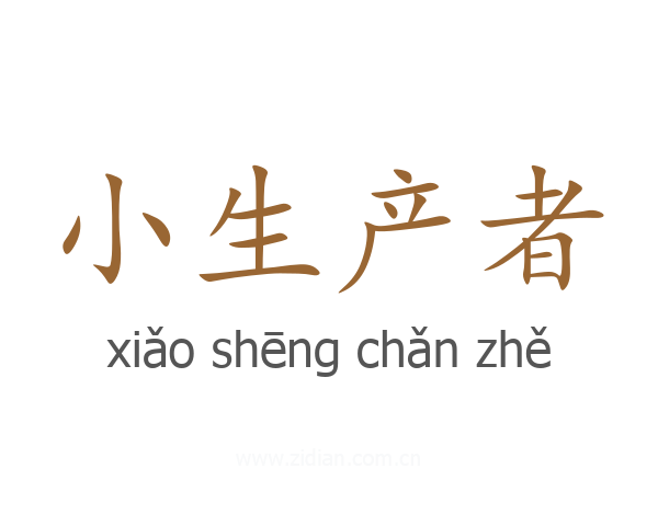 小生产者