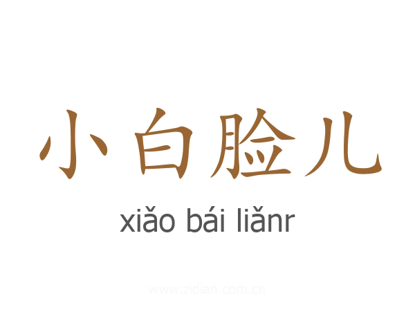 小白脸儿