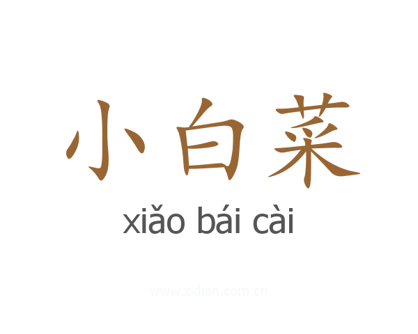 小白菜