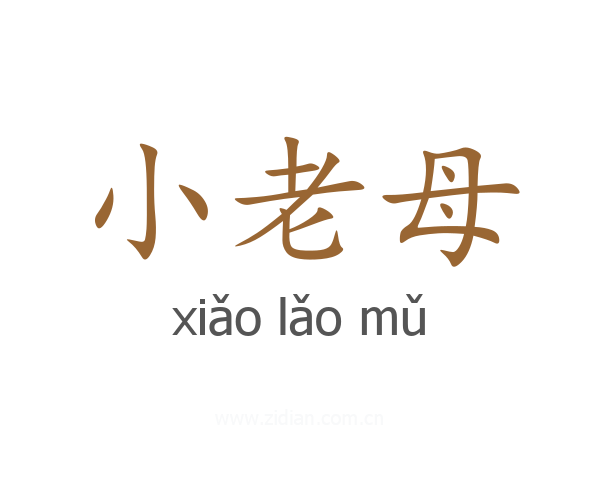 小老母