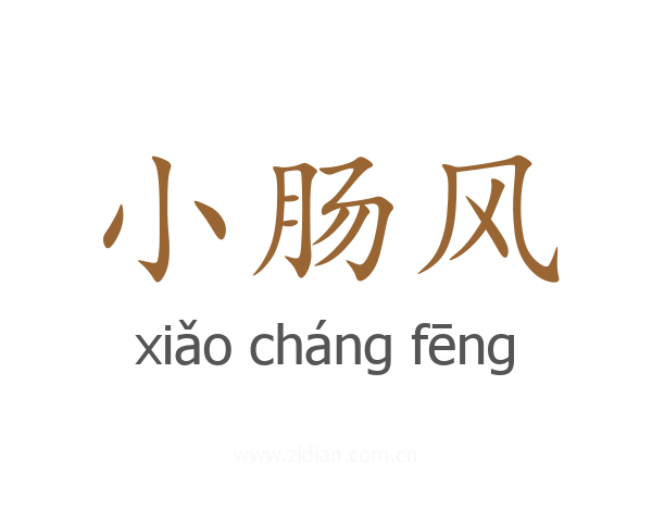小肠风