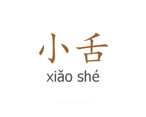 小舌