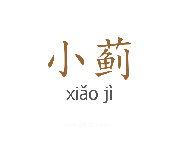 小蓟