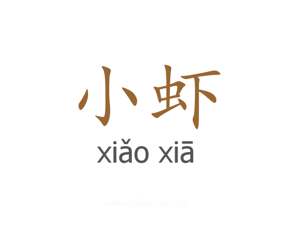 小虾