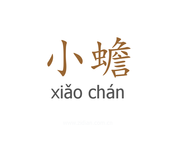小蟾
