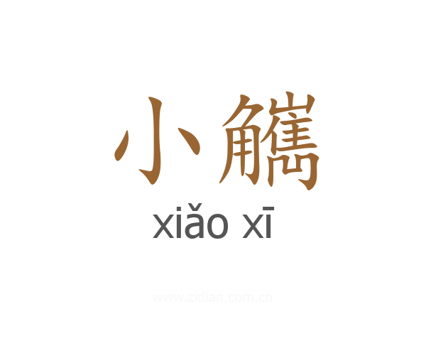 小觽