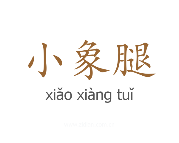 小象腿