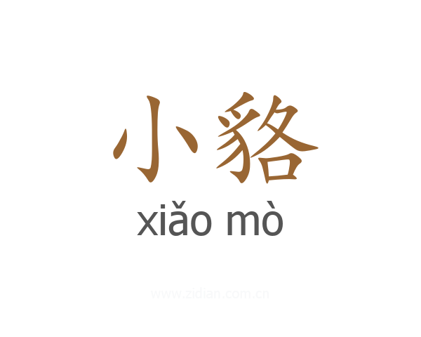 小貉