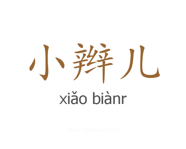 小辫儿